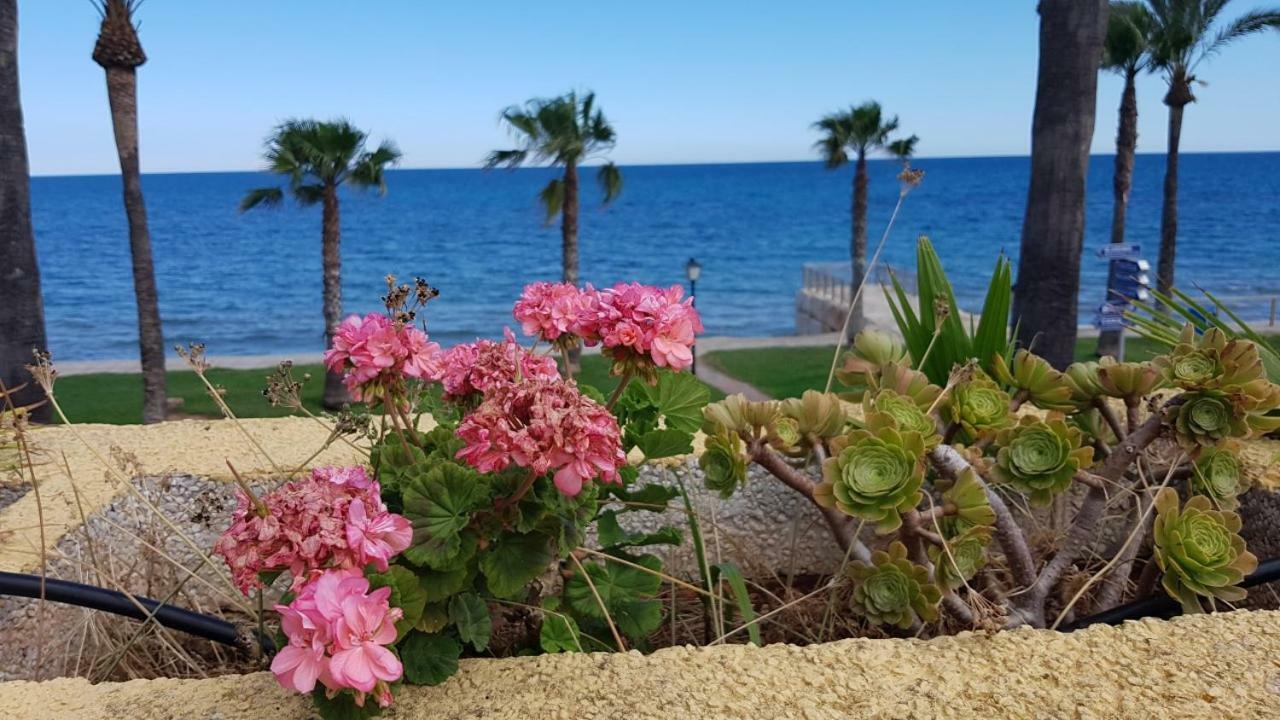 Ferienwohnung Magnificas Vistas Al Mar Oropesa del Mar Exterior foto